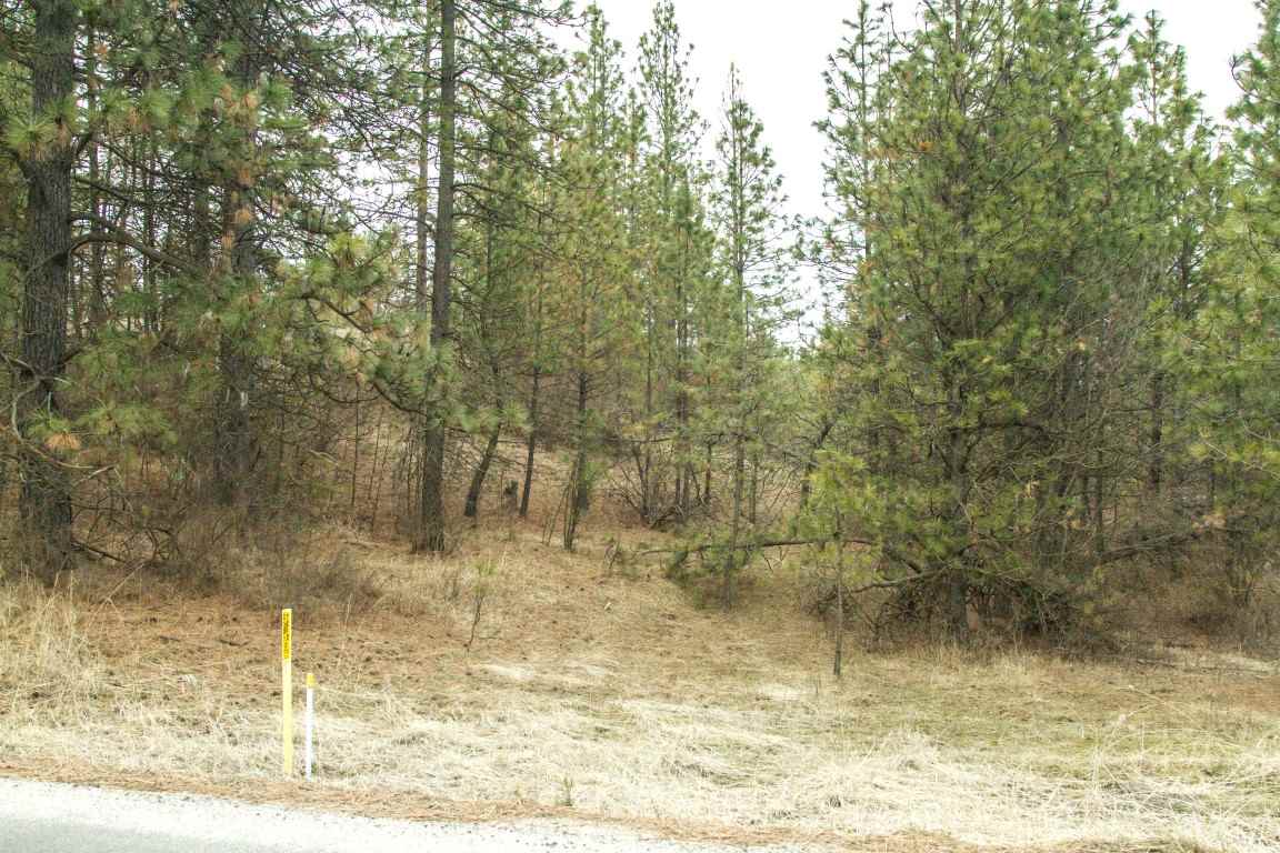 5305 Jergens Road Deer Park, WA 99006 - Photo 14 of 18 Gallery Image 14