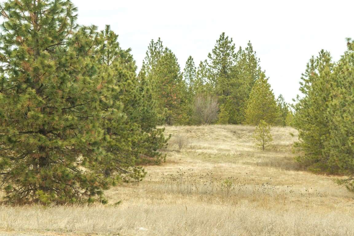 5305 Jergens Road Deer Park, WA 99006 - Photo 15 of 18 Gallery Image 15