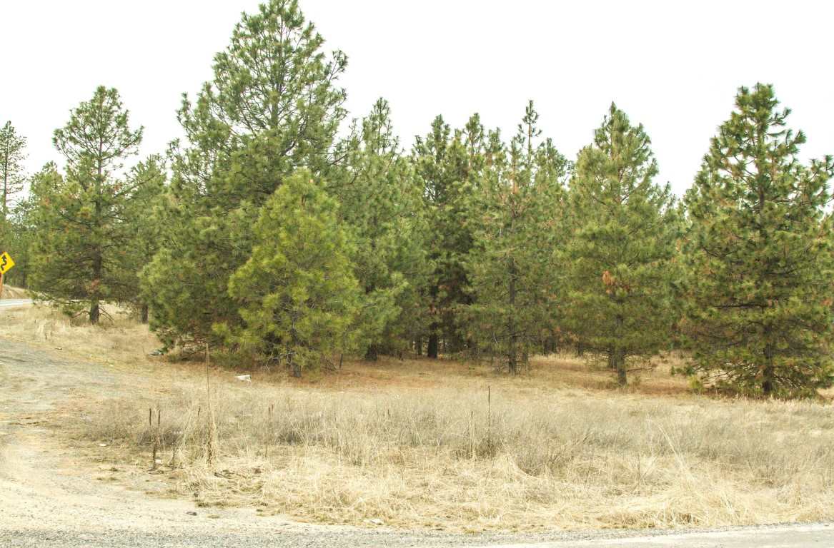 5305 Jergens Road Deer Park, WA 99006 - Photo 16 of 18 Gallery Image 16