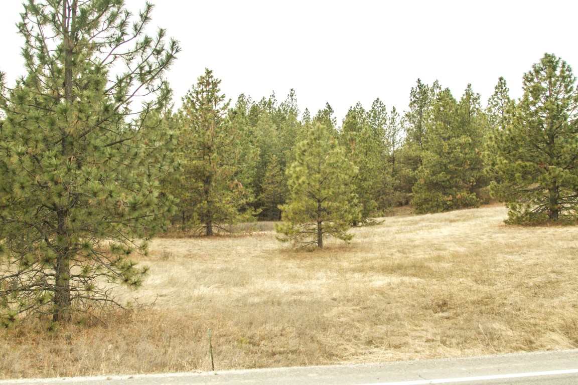 5305 Jergens Road Deer Park, WA 99006 - Photo 17 of 18 Gallery Image 17