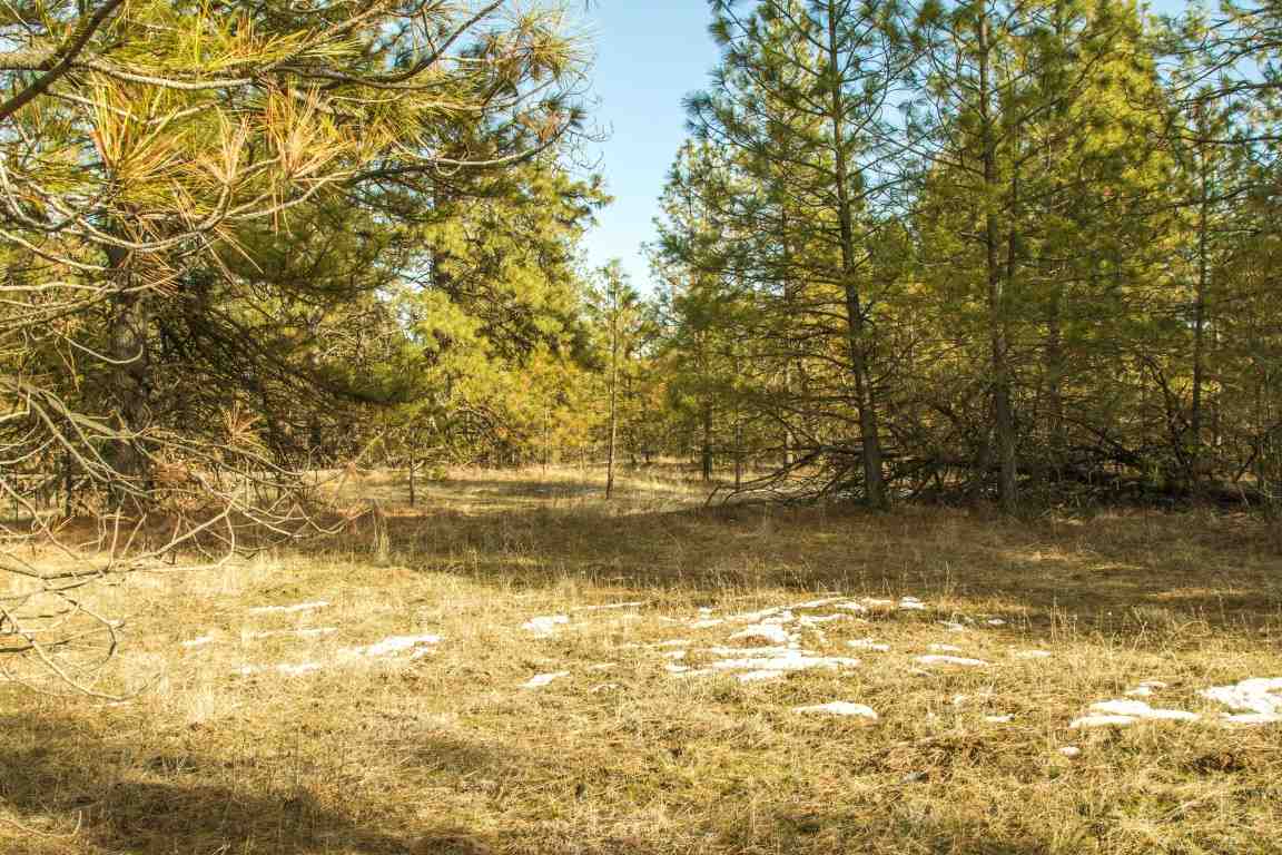 5305 Jergens Road Deer Park, WA 99006 - Photo 4 of 18 Gallery Image 4