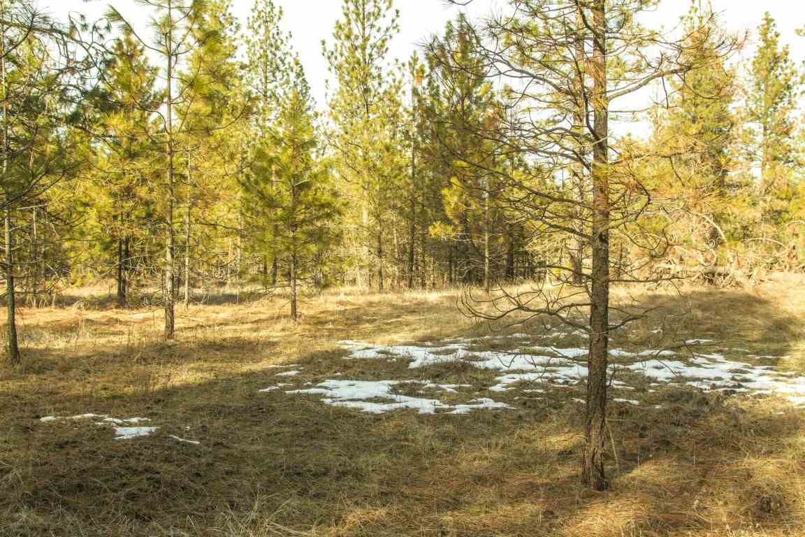 5305 Jergens Road Deer Park, WA 99006 - Photo 5 of 18 Gallery Image 5