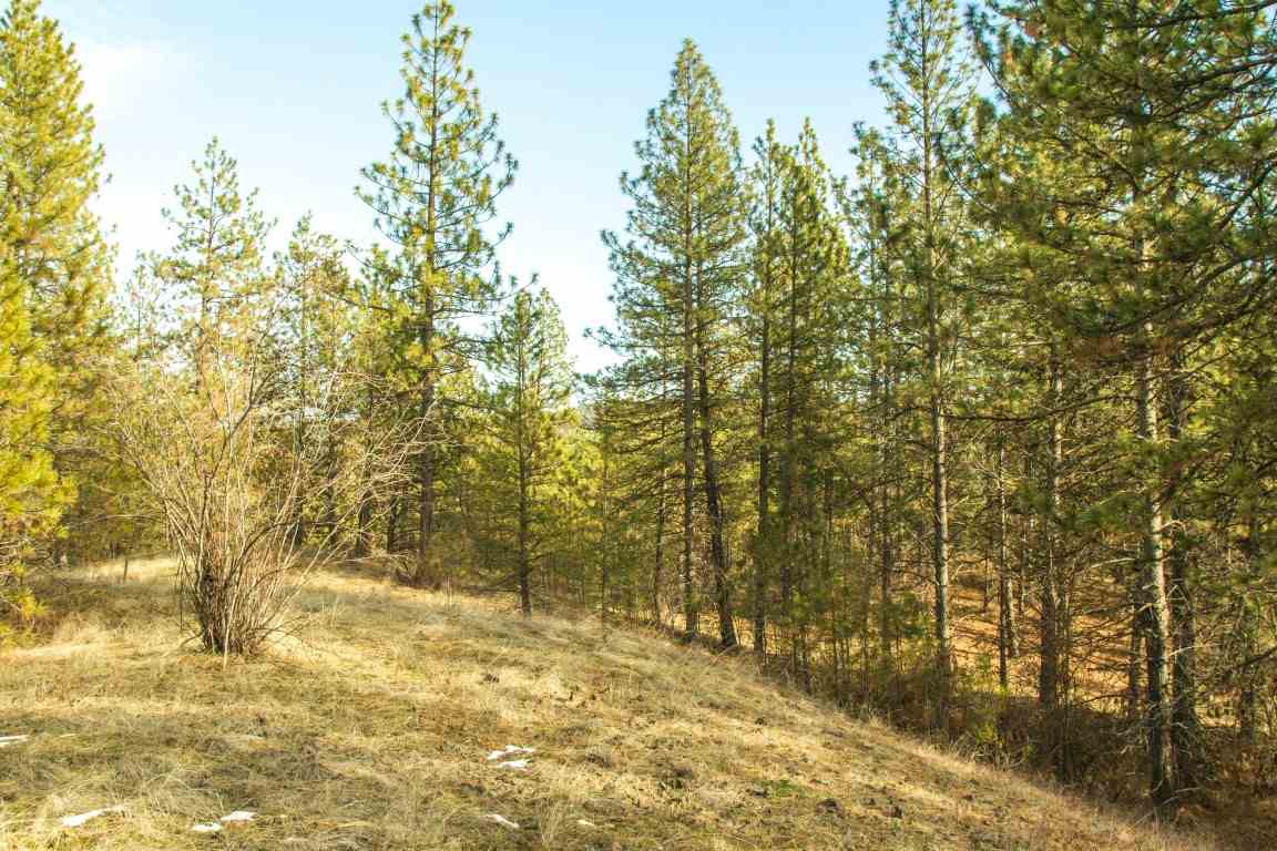 5305 Jergens Road Deer Park, WA 99006 - Photo 6 of 18 Gallery Image 6