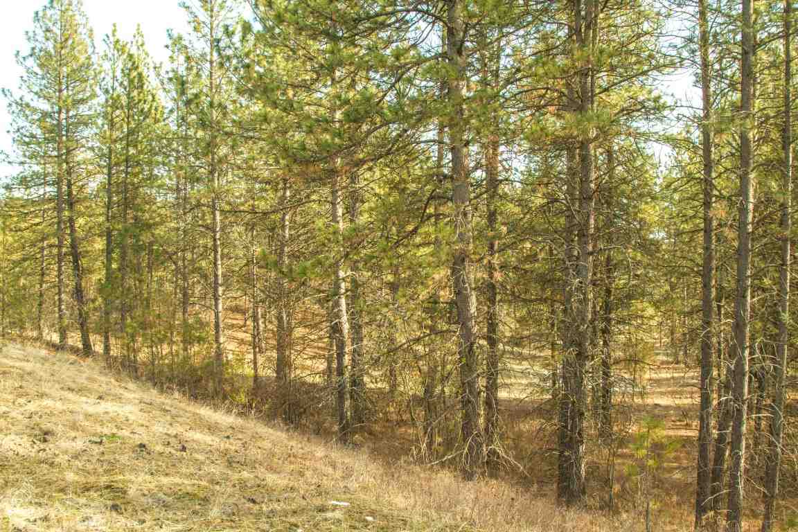 5305 Jergens Road Deer Park, WA 99006 - Photo 7 of 18 Gallery Image 7