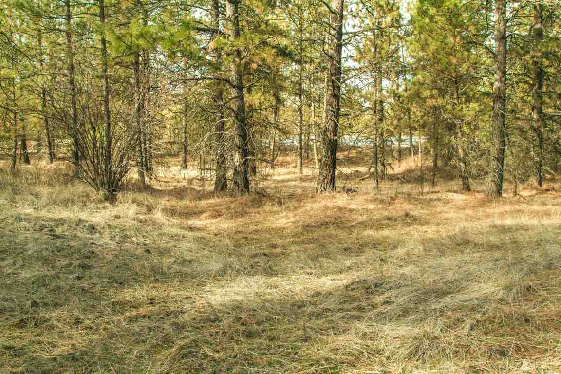 5305 Jergens Road Deer Park, WA 99006 - Photo 8 of 18 Gallery Image 8