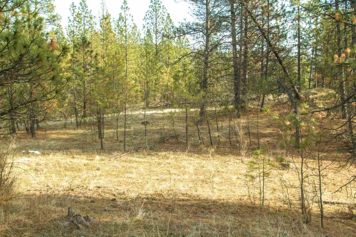 5305 Jergens Road Deer Park, WA 99006 - Photo 9 of 18 Gallery Image 9