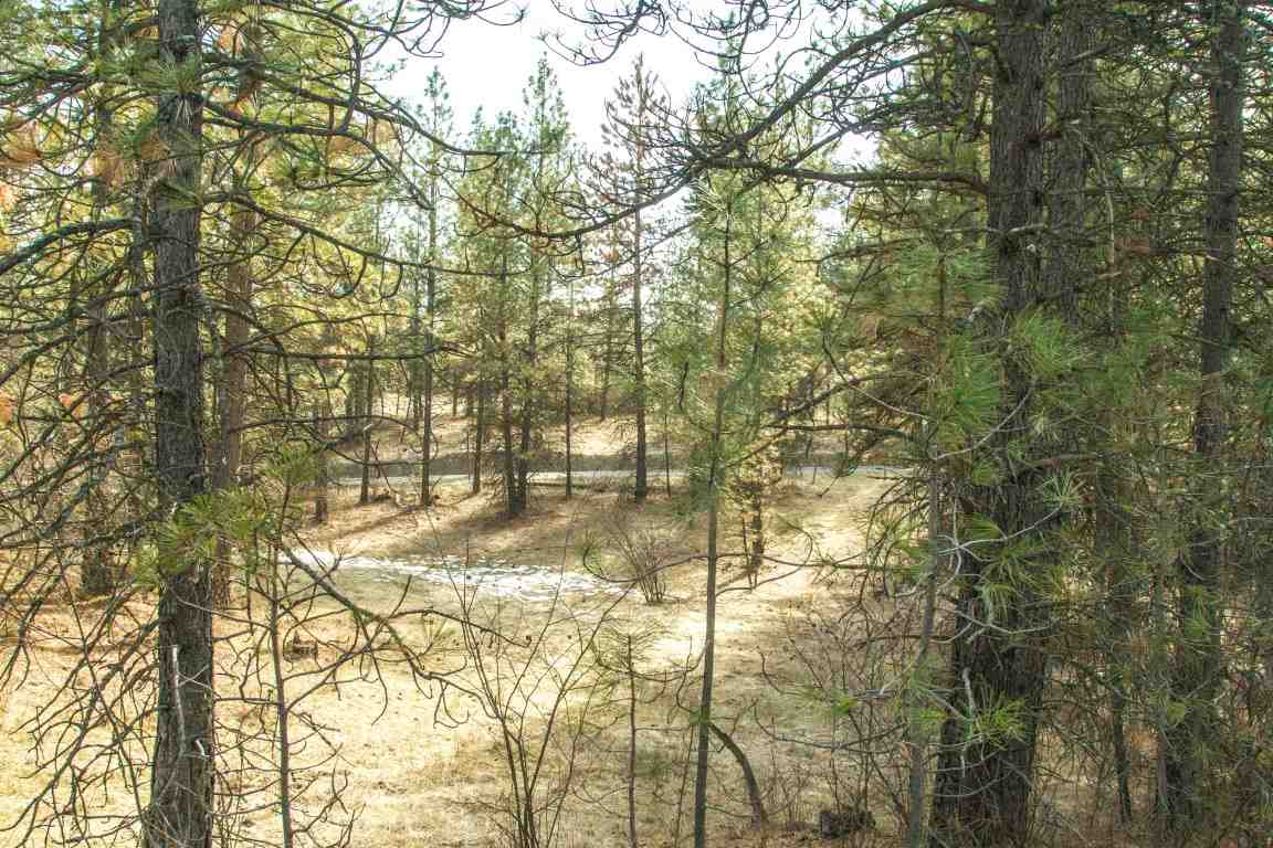 5305 Jergens Road Deer Park, WA 99006 - Photo 10 of 18 Gallery Image 10