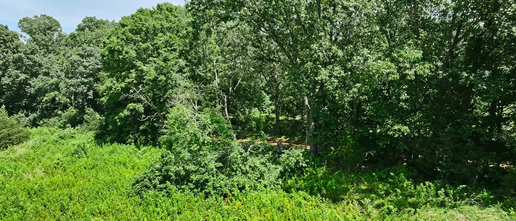 0 Barren Fork Bridge Road Bon Aqua, TN 37025 - Photo 24 of 28
