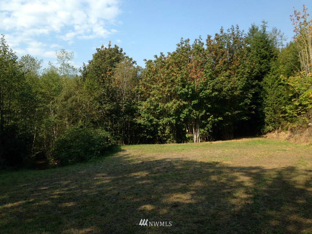 -xxx Center Road Quilcene, WA 98376 - Photo 5 of 9