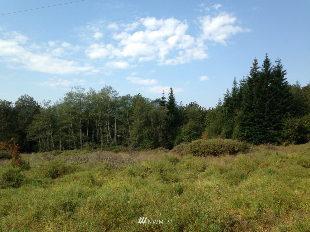 -xxx Center Road Quilcene, WA 98376 - Photo 6 of 9