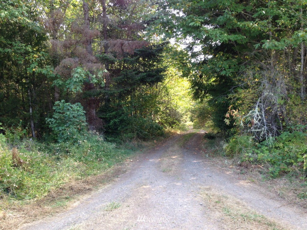 -xxx Center Road Quilcene, WA 98376 - Photo 8 of 9