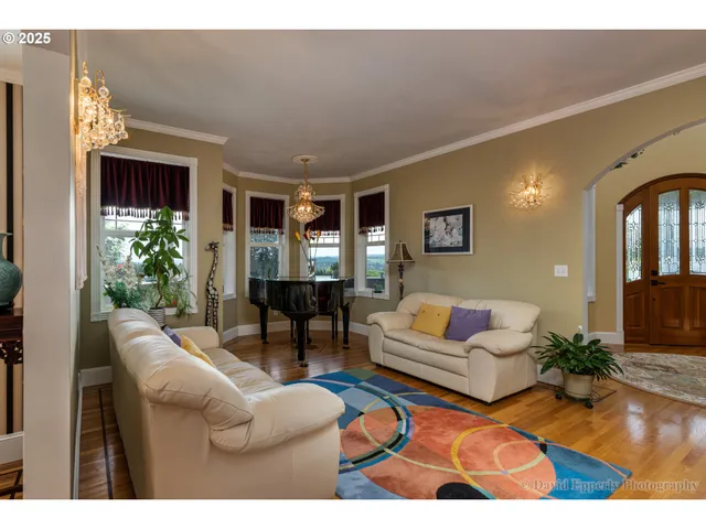 a living room with furniture potted plant and a window
