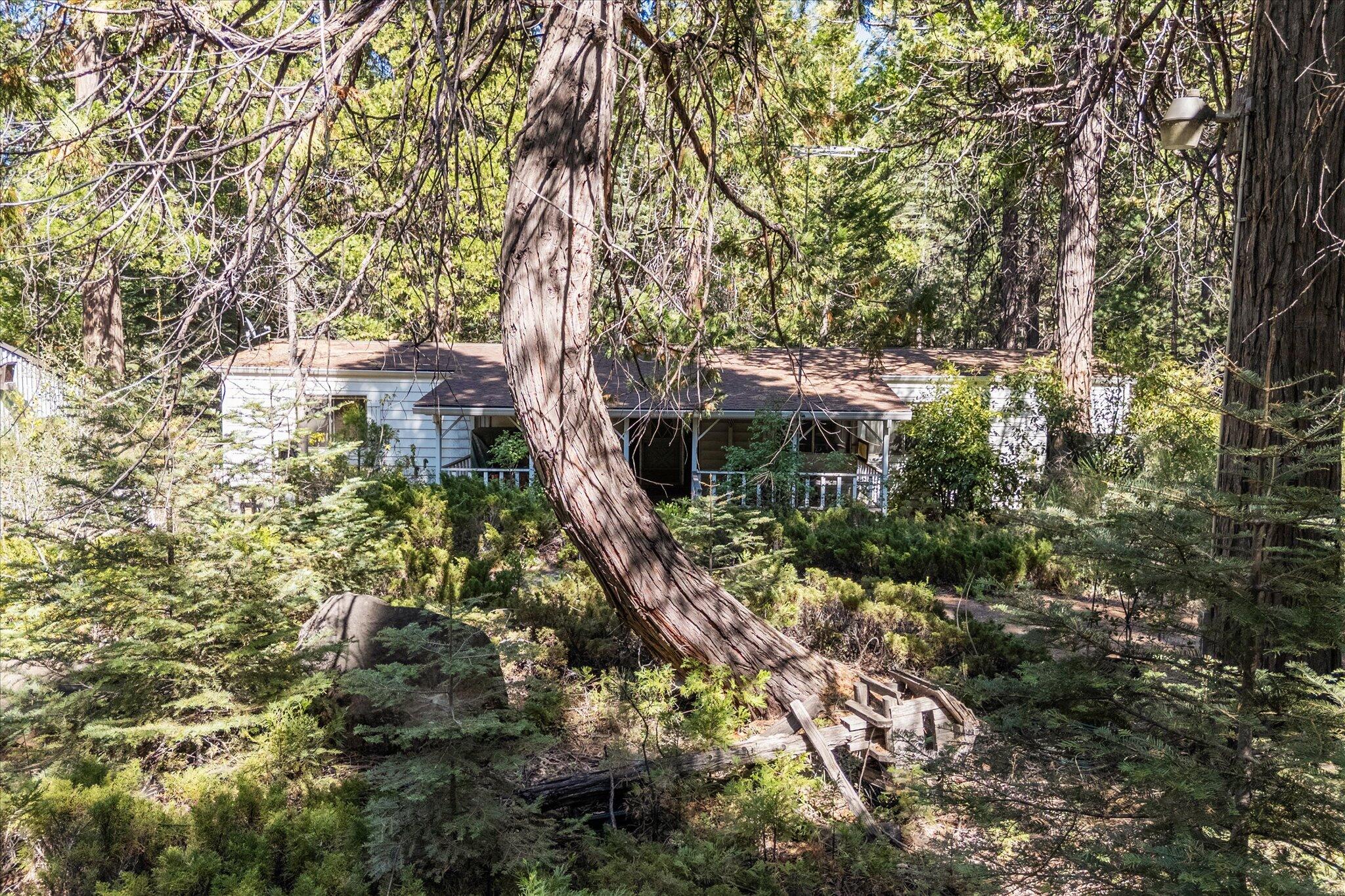 30588 Shingletown Ridge Road Shingletown, CA 96088 - Photo 29 of 44 a backyard of a house with a tree