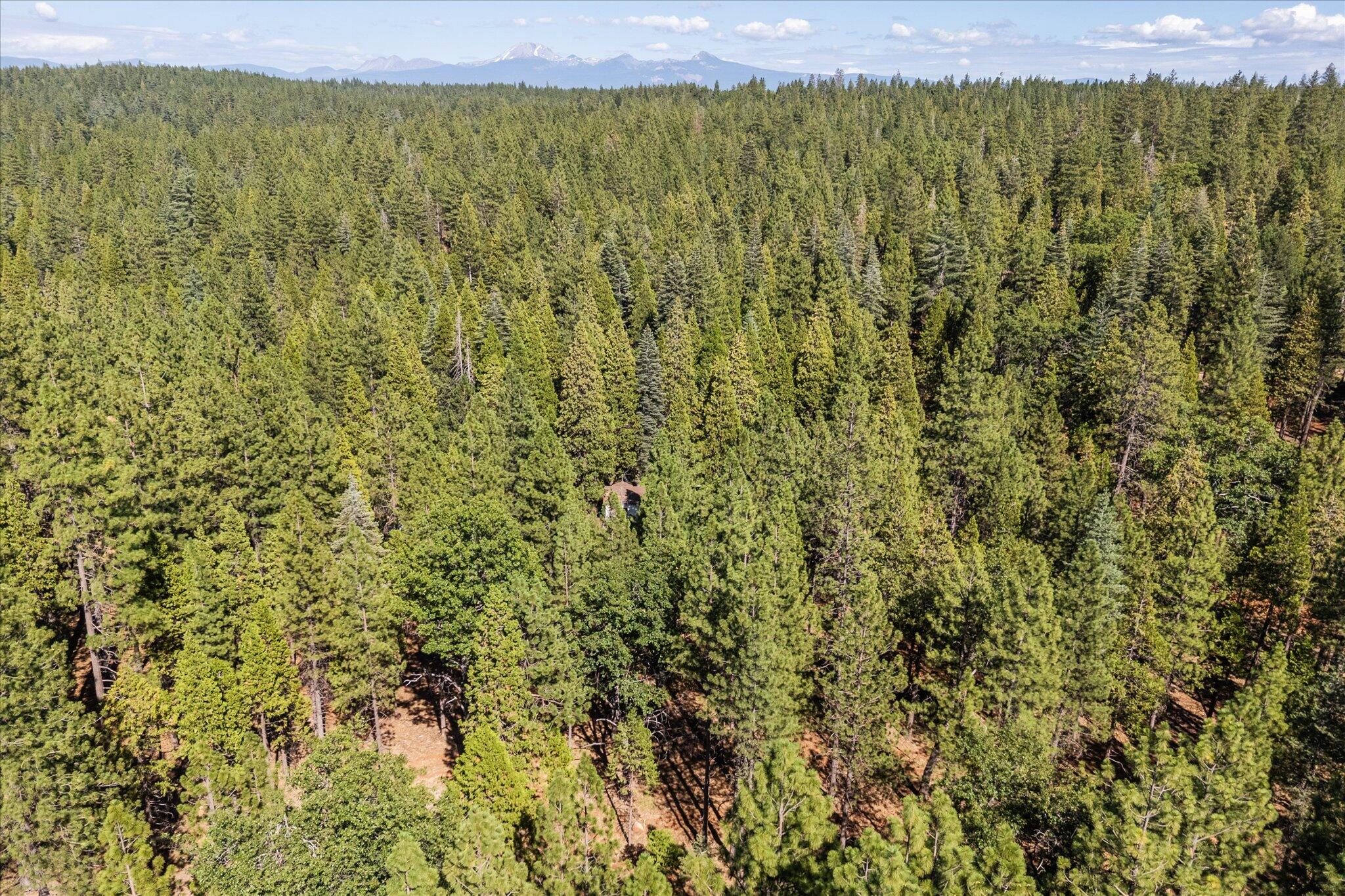 30588 Shingletown Ridge Road Shingletown, CA 96088 - Photo 38 of 44 46-BiggerFlow Real Estate Media-46