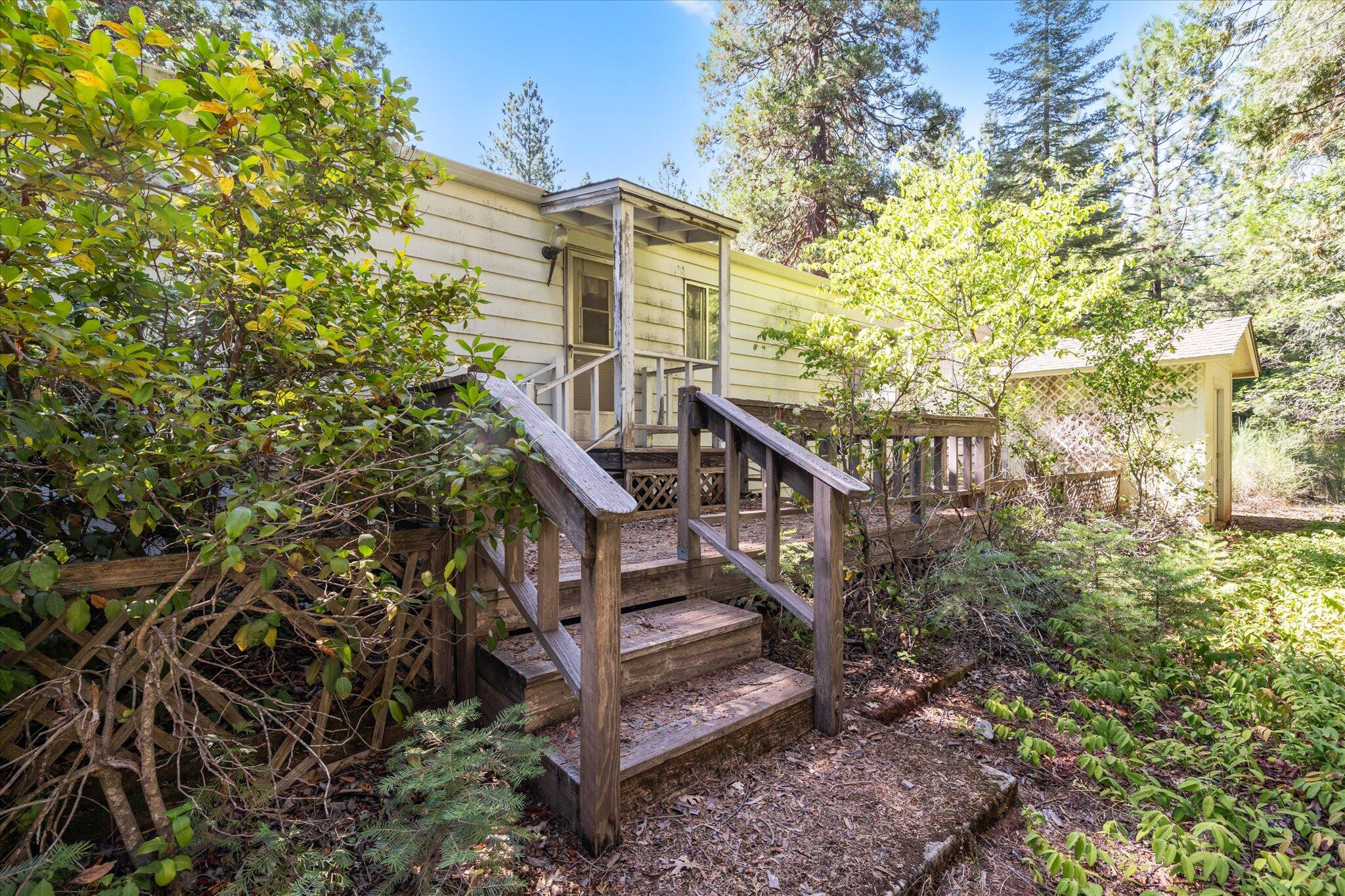 30588 Shingletown Ridge Road Shingletown, CA 96088 - Photo 39 of 44 a view of a big yard with large trees and plants