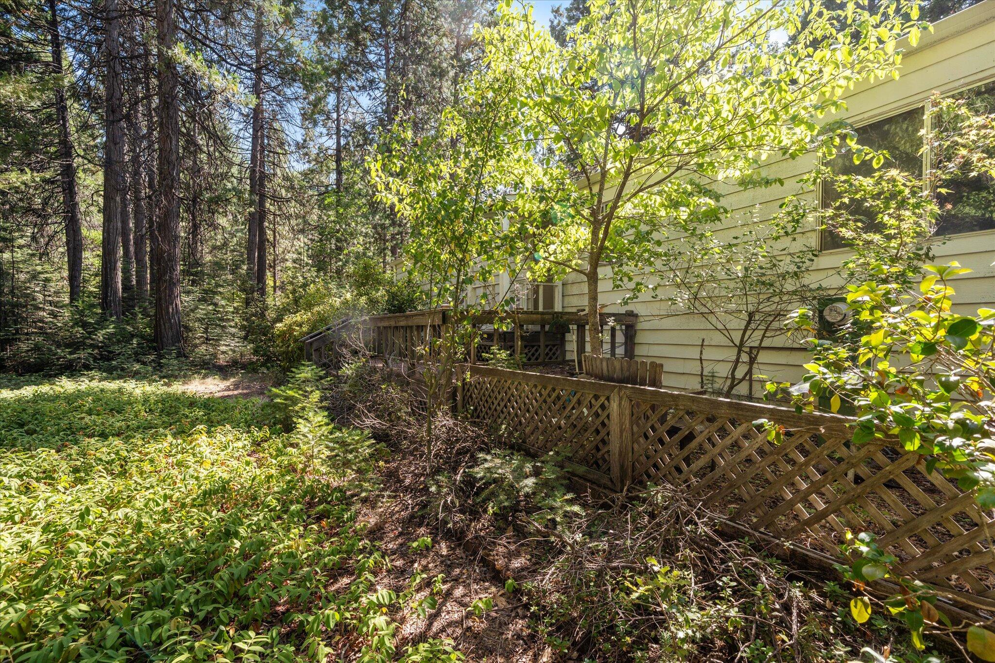 30588 Shingletown Ridge Road Shingletown, CA 96088 - Photo 40 of 44 a view of a yard with large trees