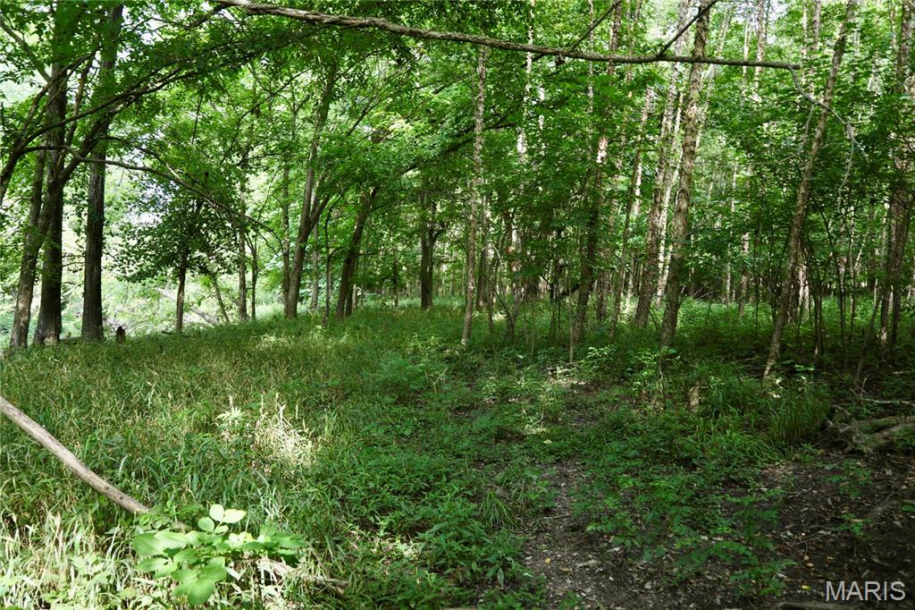 0 Church Road Salem, IL 62881 - Photo 24 of 29