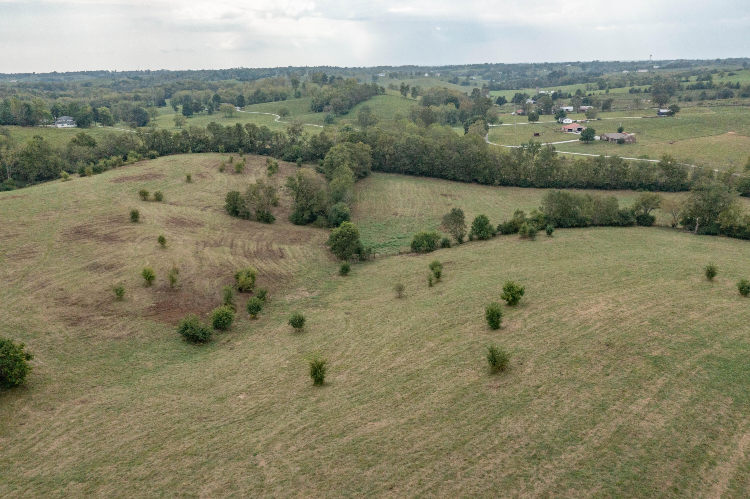 706 Stone Road Paris, KY 40361 - Photo 14 of 18 DJI_0371