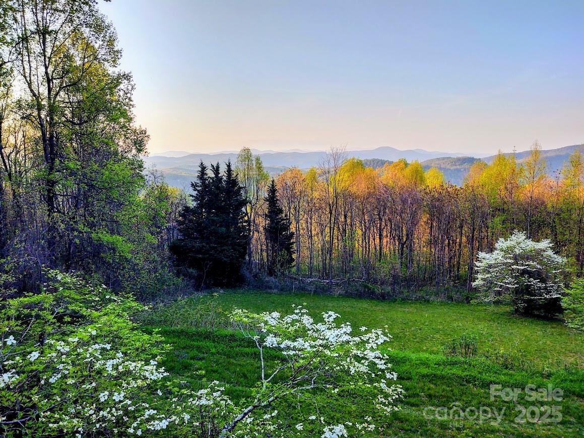 545 Summit Road Tryon, NC 28782 - Photo 21 of 26