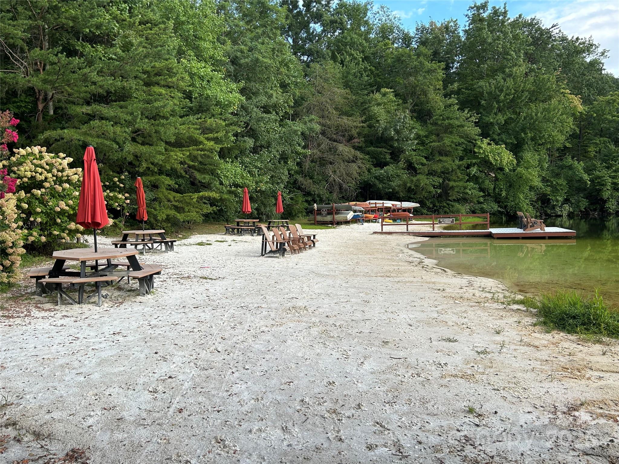 545 Summit Road Tryon, NC 28782 - Photo 22 of 26