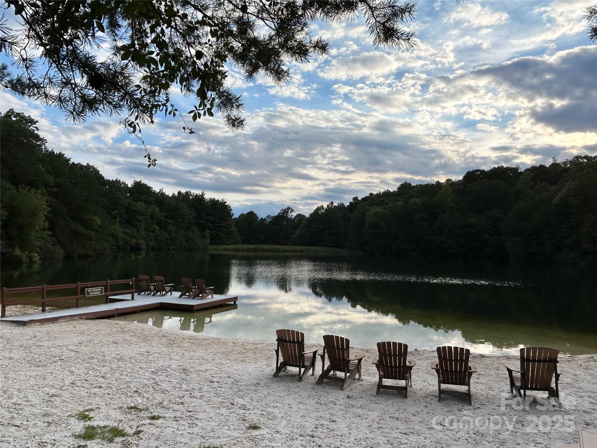 545 Summit Road Tryon, NC 28782 - Photo 23 of 26