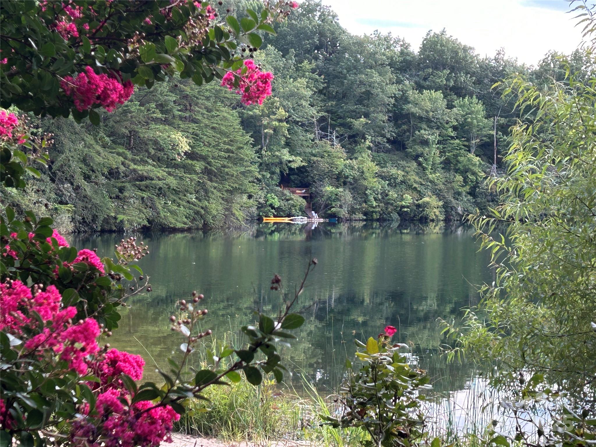 545 Summit Road Tryon, NC 28782 - Photo 25 of 26