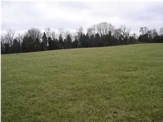 4 Deep Elem Drive Pendleton, KY 40055 - Photo 1 of 1 Primary Photo