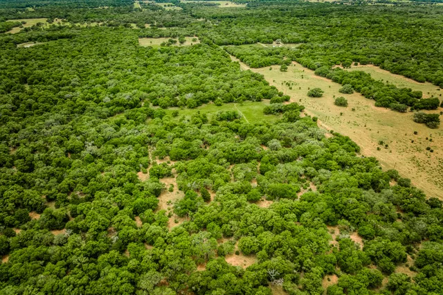 $311,625 | 125 Hallettsville Tx 77964, Hallettsville, TX 77964