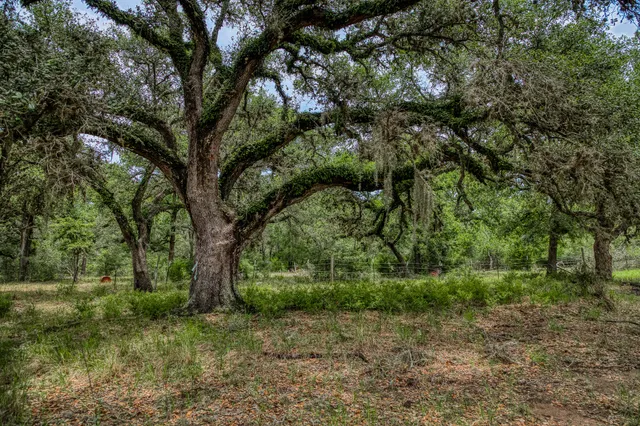 $311,625 | 125 Hallettsville Tx 77964, Hallettsville, TX 77964