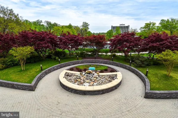 a view of a swimming pool with a garden