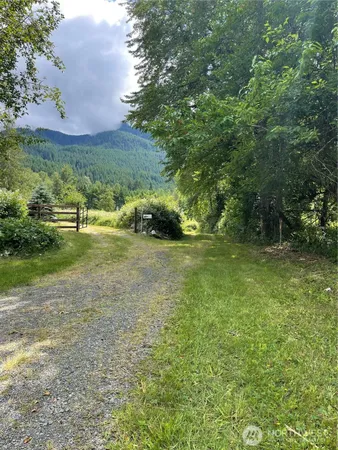 a view of a trees with a yard