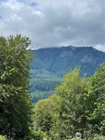 a view of a lake with a mountain in the background