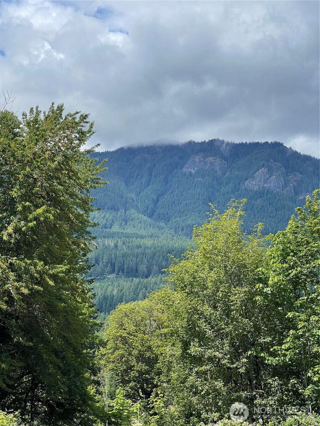 226 Bennett Road Randle, WA 98377 - Photo 12 of 13