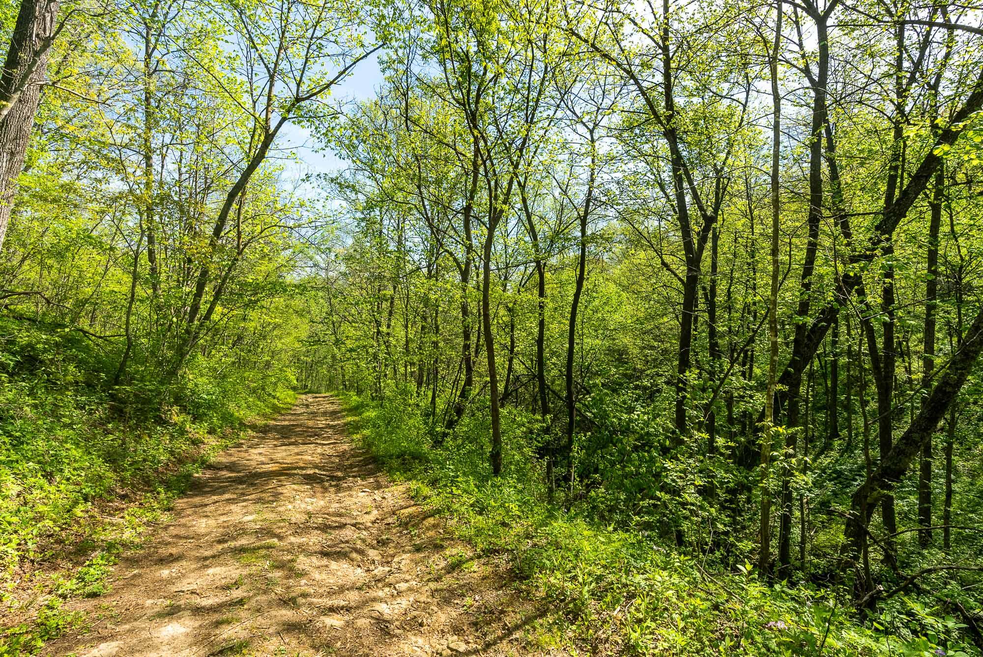 15999 Biba Road Muscoda, WI 53573 - Photo 65 of 103 Grant-County-WI-160-Acres-Land-For-Sale-