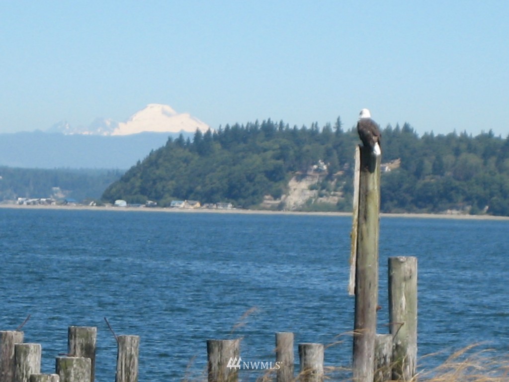 6206 South Brighton Beach Road Clinton, WA 98236 - Photo 1 of 8 Gallery Image 1