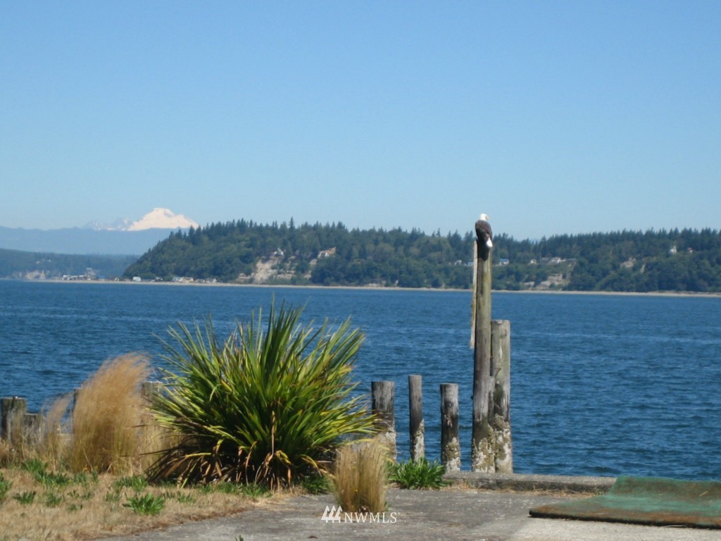 6206 South Brighton Beach Road Clinton, WA 98236 - Photo 2 of 8 Gallery Image 2