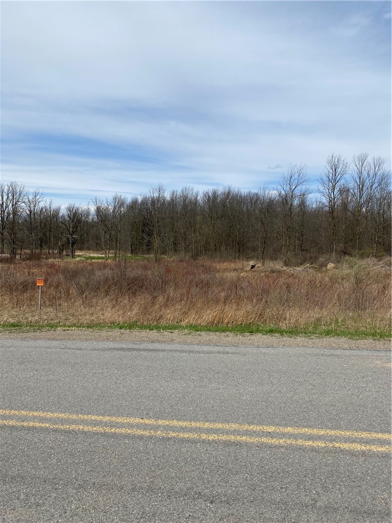 0 Shelt Road Byron, NY 14422 - Photo 1 of 1 Gallery Image 1