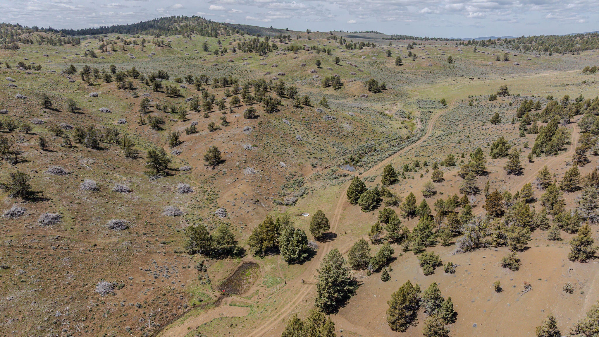 41225 Van Lake Road Prineville, OR 97754 - Photo 120 of 181 DJI_20260430123328_0172_D-HDR
