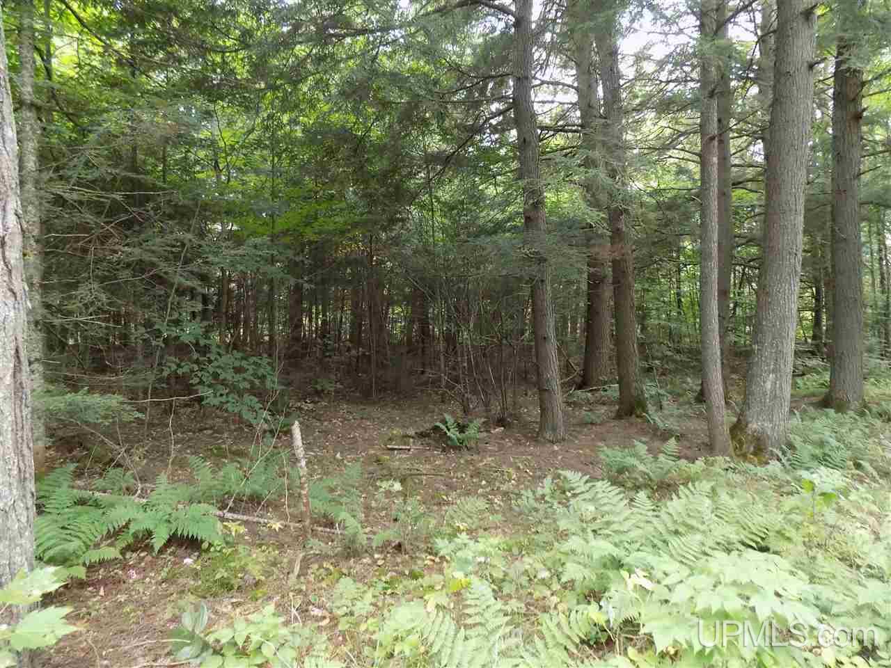 Tbd Hayward Road Munising, MI 49862 - Photo 11 of 15