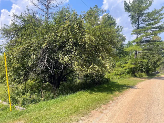 $36,000 | 8337 Lake Lure Drive, Evart, MI 49631