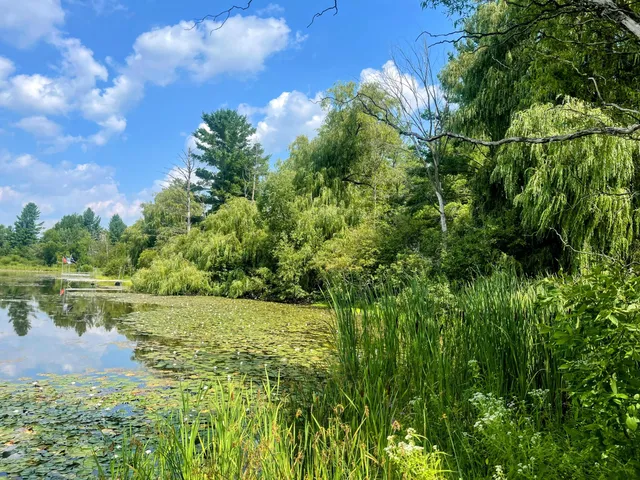 $36,000 | 8337 Lake Lure Drive, Evart, MI 49631