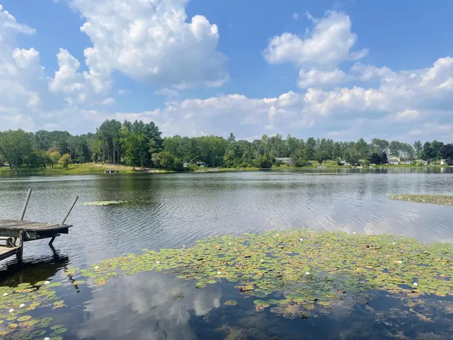 $36,000 | 8337 Lake Lure Drive, Evart, MI 49631