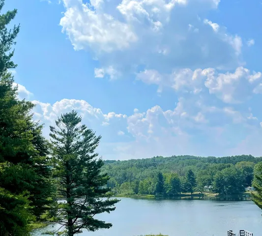 $36,000 | 8337 Lake Lure Drive, Evart, MI 49631