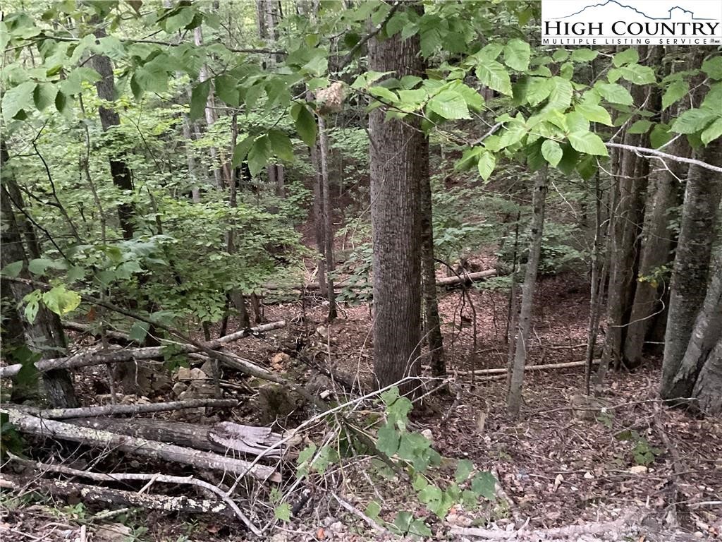 145 Raccoon Road Beech Mountain, NC 28604 - Photo 2 of 5