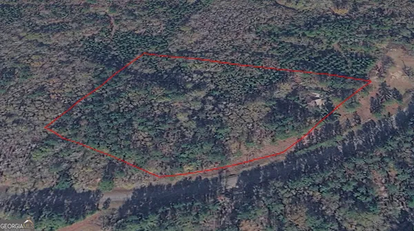 $35,000 | 0 Wadley Coleman Lake Road, Midville, GA 30441