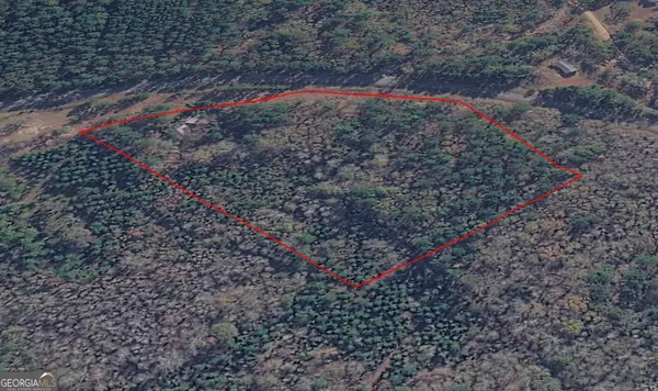 $35,000 | 0 Wadley Coleman Lake Road, Midville, GA 30441