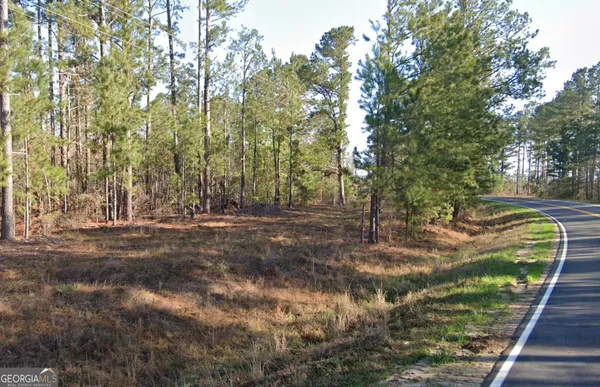 $35,000 | 0 Wadley Coleman Lake Road, Midville, GA 30441