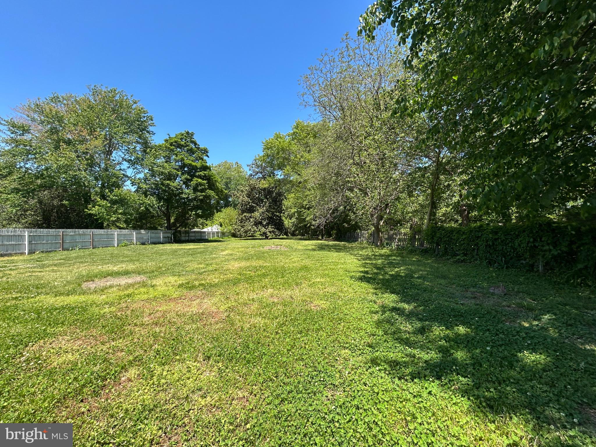 29292 Maple Avenue Trappe, MD 21673 - Photo 25 of 26 Spacious green retreat awaits you.