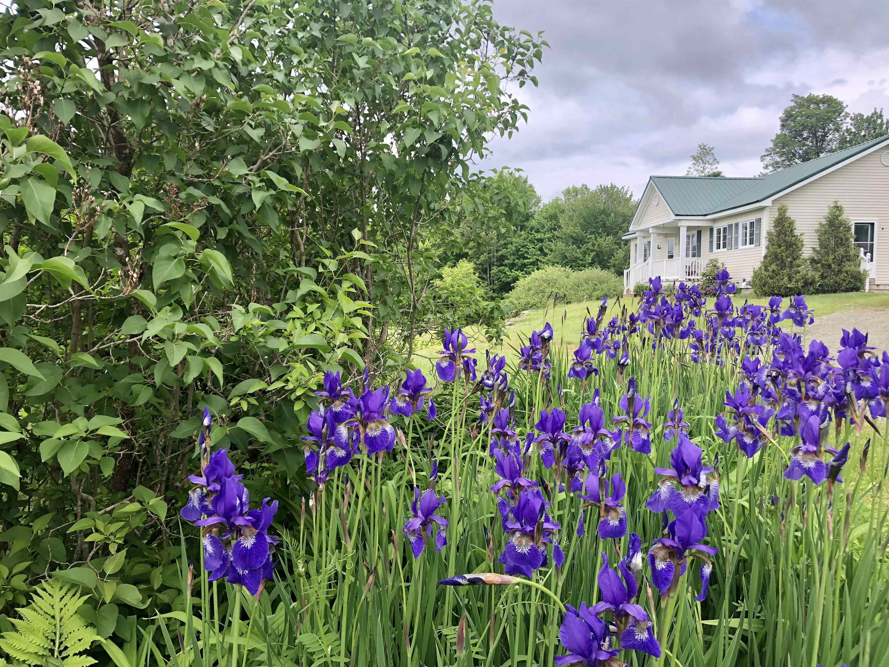 60 Hall Road Wilmington, VT 05363 - Photo 1 of 35 Gallery Image 1