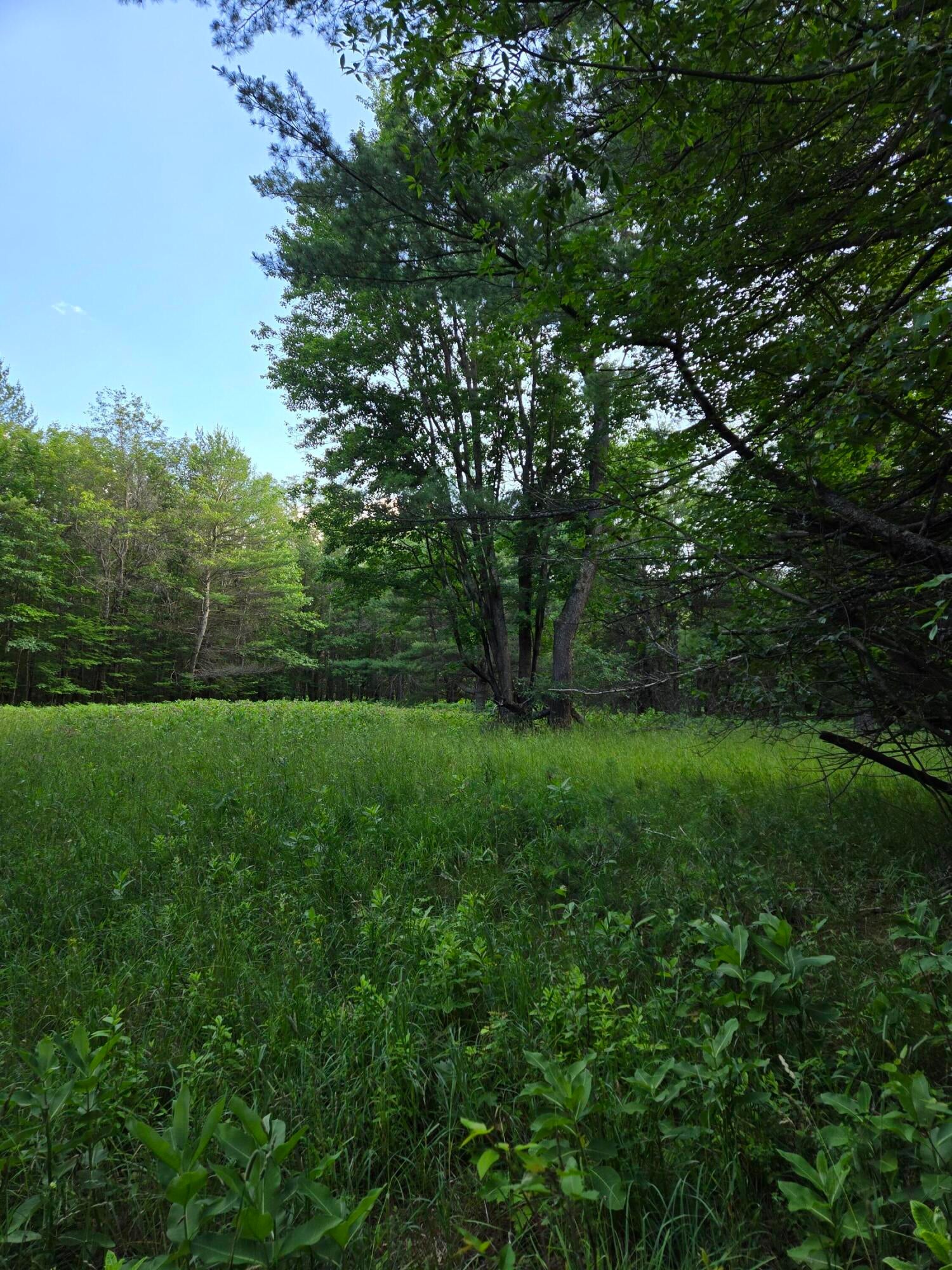 Pere Cheney Road Roscommon, MI 48653 - Photo 9 of 9 Gallery Image 9
